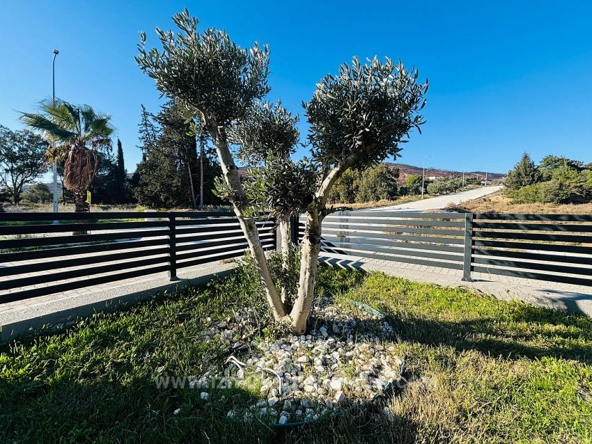 Dreifamilienhaus Mit 3+1 Bädern Und Separatem Grundbucheintrag, Direkt Am Meer Im Viertel Atatürk, Seferihisar, İzmir