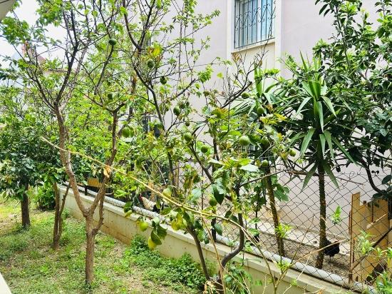 Erdgeschosswohnung (1+1) Mit Meerblick Im Stadtteil Bengiler, Seferihisar, Izmir Zu Verkaufen.