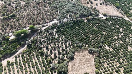 7928 M² Großes, Erschlossenes Grundstück Mit Strom-, Wasser- Und Straßenanschluss In Menderes Özdere Zu Verkaufen