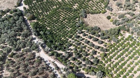 7928 M² Großes, Erschlossenes Grundstück Mit Strom-, Wasser- Und Straßenanschluss In Menderes Özdere Zu Verkaufen