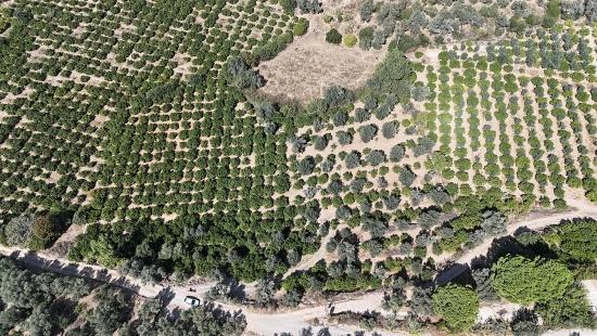 7928 M² Großes, Erschlossenes Grundstück Mit Strom-, Wasser- Und Straßenanschluss In Menderes Özdere Zu Verkaufen