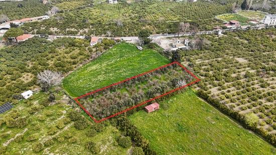 2.155 M² Großer Zitrusgarten Zum Verkauf Im Bezirk Izmir Seferihisar Sığacık