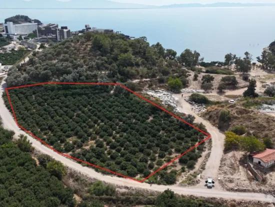 100 M Eckgrundstück Zum Strand In Özdere 9.727M² Feld Zum Verkauf Mit Einzeleigentumsurkunde