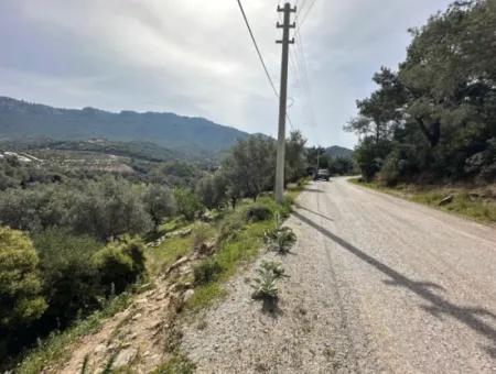 Doğanbeyde Sea City View Semi-Villen Zoniertes Grundstück Zum Verkauf