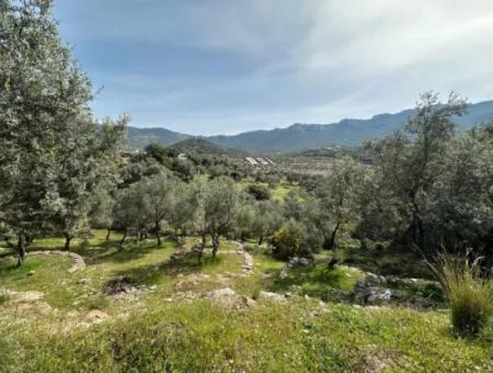 Doğanbeyde Sea City View Semi-Villen Zoniertes Grundstück Zum Verkauf