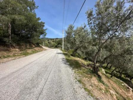 Doğanbeyde Sea City View Semi-Villen Zoniertes Grundstück Zum Verkauf