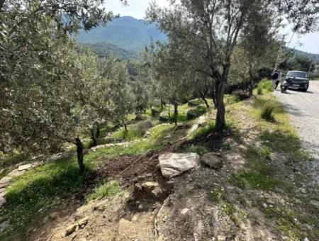 Doğanbeyde Sea City View Semi-Villen Zoniertes Grundstück Zum Verkauf