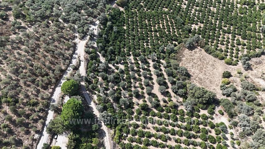 7928 M² Electricity, Water, Road Available Field For Sale In Menderes Özdere