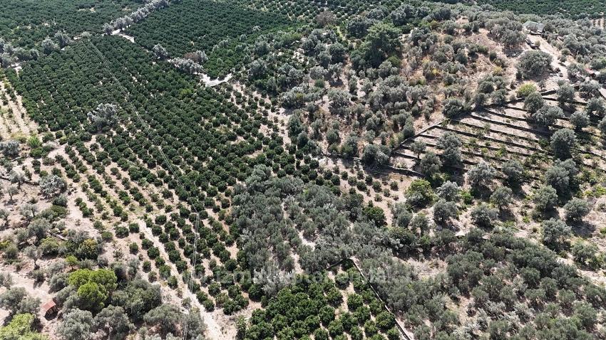 Menderes Özdere Has Electricity, Water And Roads. 11,450 Square Meters Of Land For Sale.