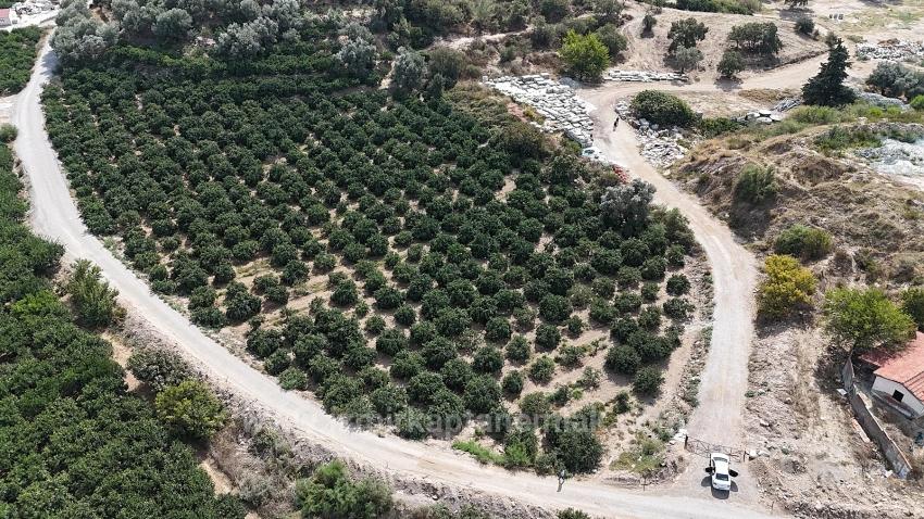 Corner Parcel Single Title Deed 9.727M² Field For Sale In Menderes Özdere, 100M From The Beach