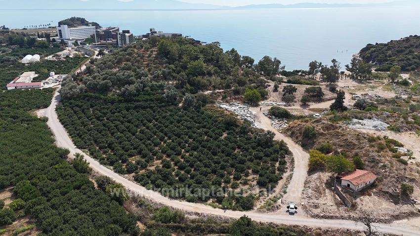Corner Parcel Single Title Deed 9.727M² Field For Sale In Menderes Özdere, 100M From The Beach