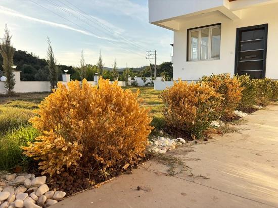 Brand New 3+1 Villa For Sale With A Large Garden In Seferihisar Payamlı Village