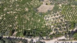 7928 M² Electricity, Water, Road Available Field For Sale In Menderes Özdere