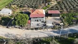 2+1 Bedroom Farm House For Sale in Kavakdere Nbh. Seferihisar - 826 m²