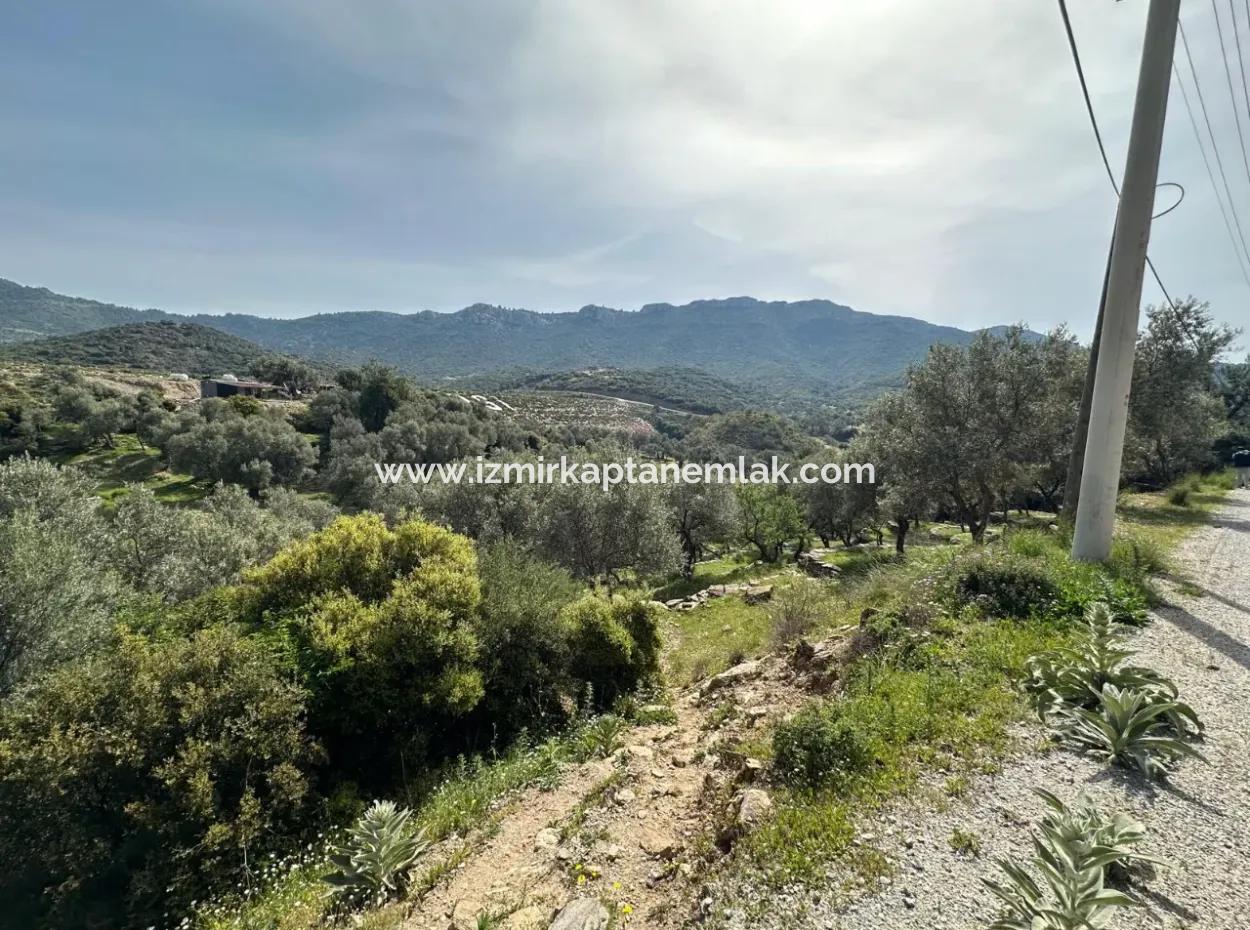 Doğanbeyde Sea City View Semi-Villas Zoned Land For Sale