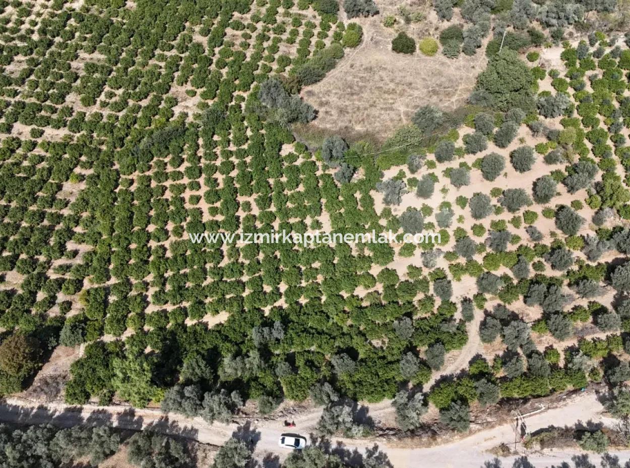 7928 M² Electricity, Water, Road Available Field For Sale In Özdere