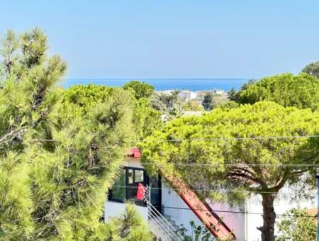 New New 3 1 Villa For Sale In 200M2 In Doganbey
