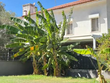 50 M To The Beach In Özdere Zero 4 1 Triplex For Sale With Large Garden