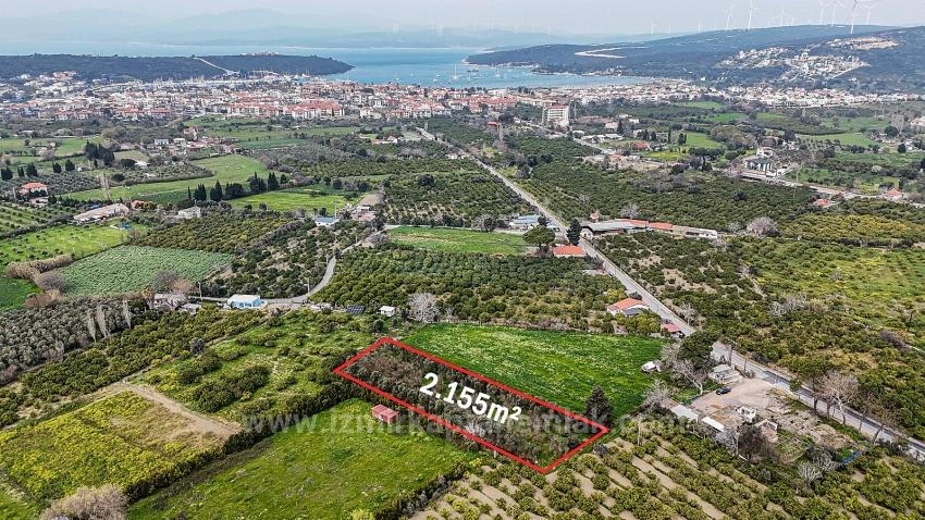 Цитрусовый Сад Площадью 2,155 М² На Продажу В Районе Измира, Сеферихисар-Сыгаджик