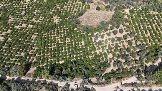 7928 М² Электричество, Вода, Дорога Доступны Для Продажи В Мендерес Оздере