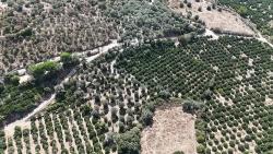 7928 М² Электричество, Вода, Дорога Доступны Для Продажи В Мендерес Оздере