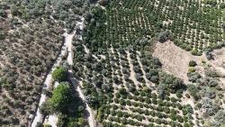 7928 М² Электричество, Вода, Дорога Доступны Для Продажи В Мендерес Оздере