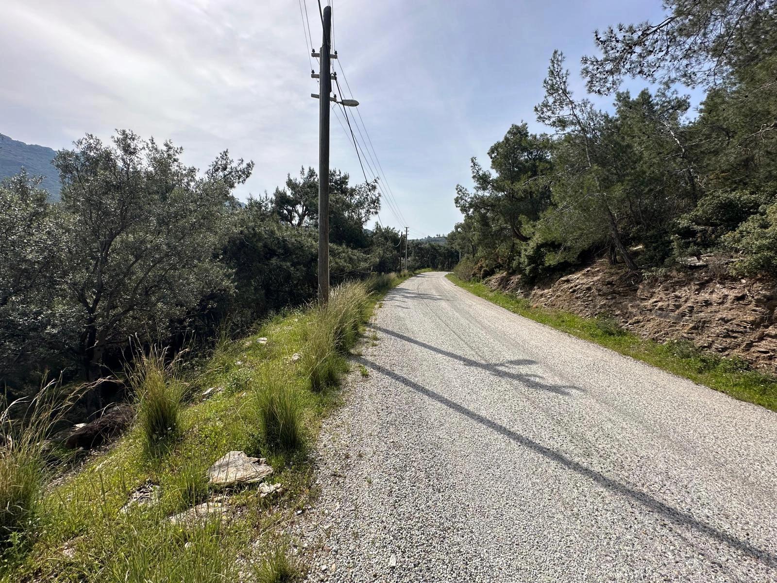 Özdere'de12177 M2 İki Parselden Oluşan 113 Adet Zeytinli Tarla Satılık