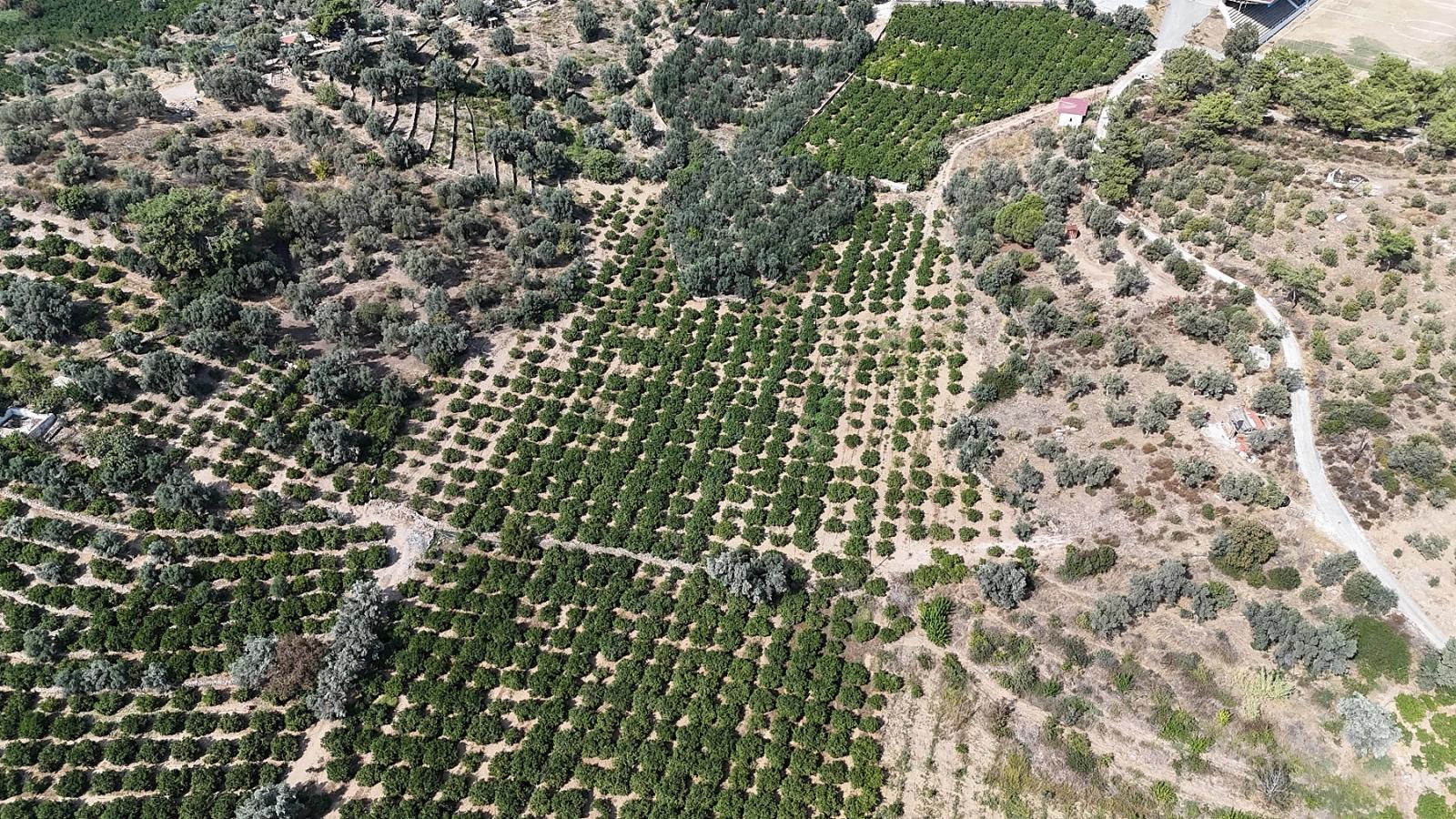 Menderes Özdere'de Elektrik Su Yol Mevcut 11.450M² Satılık Tarla Tarlasatılık