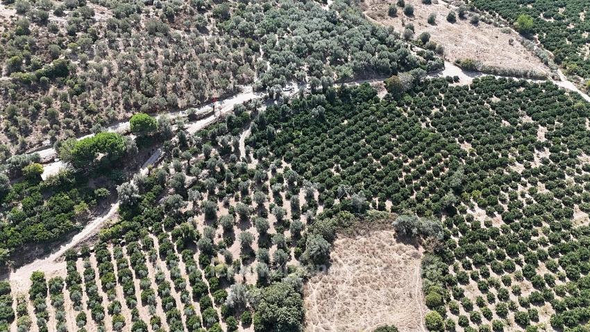 Menderes Özdere'de 7928 M² Elektrik Su Yol Mevcut Satılık Tarla