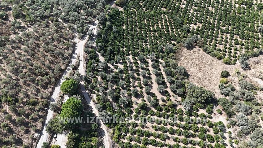 Menderes Özdere Özdere Cumhuriyet Mah. Satılık Tarla - Tarla İmar Durumlu - 7.928 m²