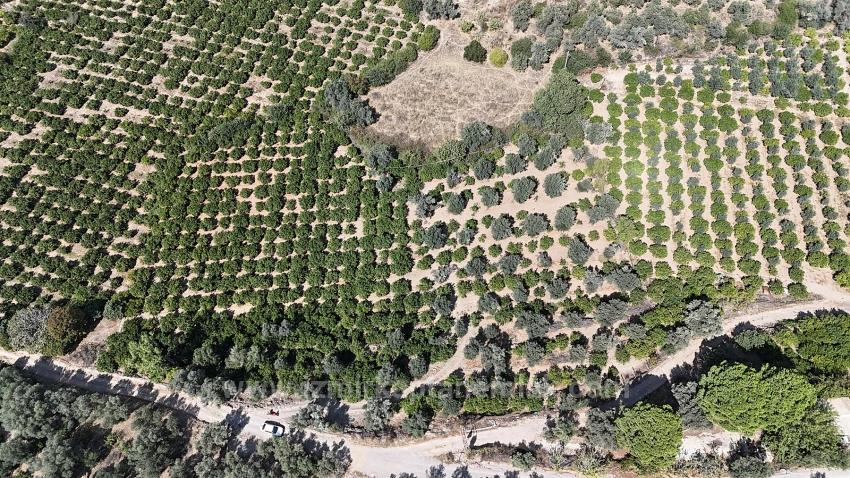 Menderes Özdere'de 7928 M² Elektrik Su Yol Mevcut Satılık Tarla