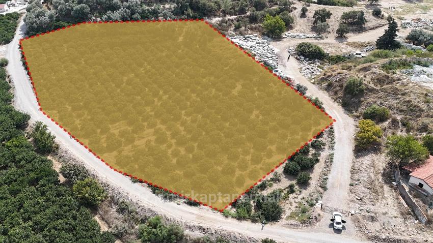 Menderes Özdere'de Plaja 100 M Köşe Parsel Tek Tapulu 9.727M² Satılık Tarla