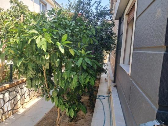 Seferihisar Doğanbey'de Bahçeli Ferah Yapılı Satılık 2+1 Villa