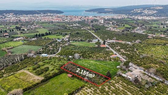 İzmir Seferihisar Sığacık Mahallesi’nde 2.155m² Satılık Narenciye Bahçesi