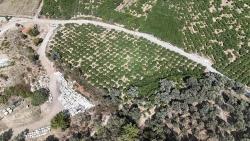 Menderes Özdere'de Plaja 100 M Köşe Parsel Tek Tapulu 9.727M² Satılık Tarla