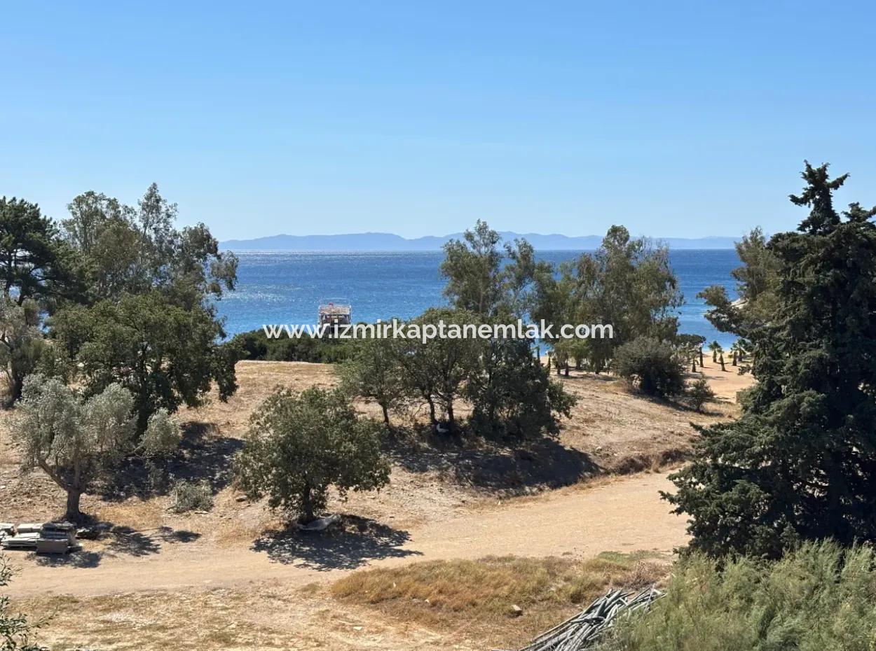 Özdere De Plaja 100 M Köşe Parsel Tek Tapulu 9.727M² Satılık Tarla