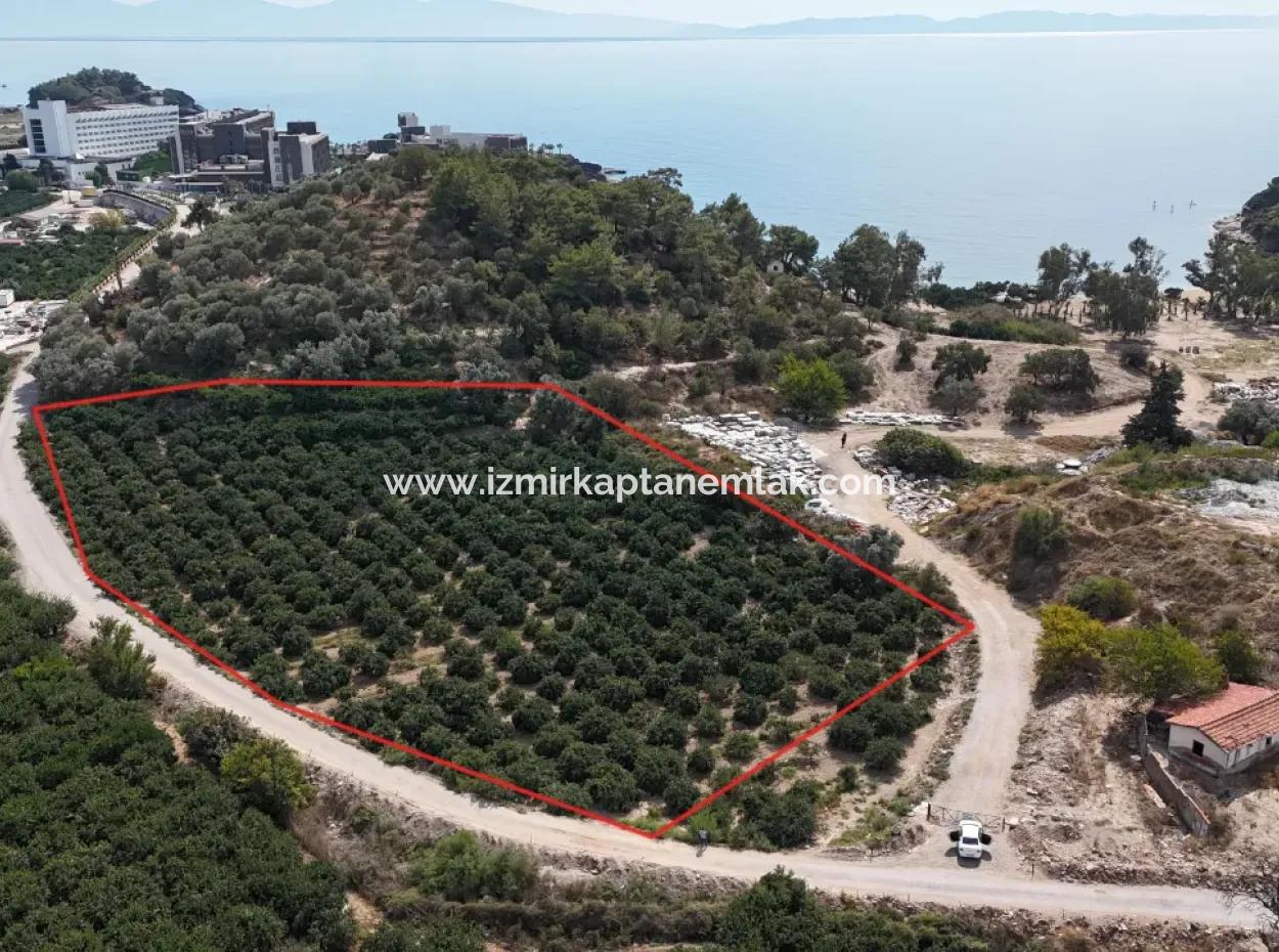 Özdere De Plaja 100 M Köşe Parsel Tek Tapulu 9.727M² Satılık Tarla