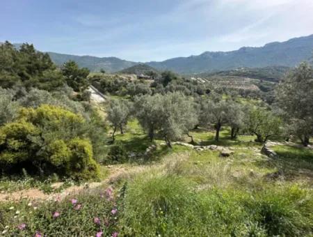 Doğanbeyde Deniz Şehir Manzaralı İkiz Villalık İmarlı Satılık Arsa