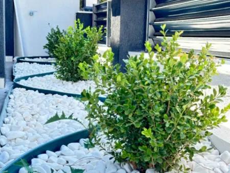 Doğanbey'de 210M2 İçerisin'de Lüks Yapılı Geniş Bahçeli Satılık 3+1 Villa