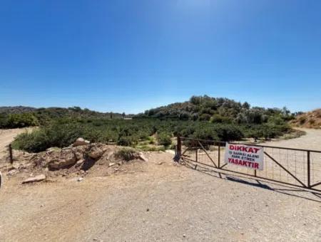 Özdere De Plaja 100 M Köşe Parsel Tek Tapulu 9.727M² Satılık Tarla