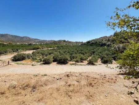 Özdere De Plaja 100 M Köşe Parsel Tek Tapulu 9.727M² Satılık Tarla