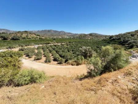 Özdere De Plaja 100 M Köşe Parsel Tek Tapulu 9.727M² Satılık Tarla