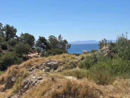 Özdere De Plaja 100 M Köşe Parsel Tek Tapulu 9.727M² Satılık Tarla