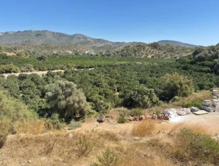 Özdere De Plaja 100 M Köşe Parsel Tek Tapulu 9.727M² Satılık Tarla