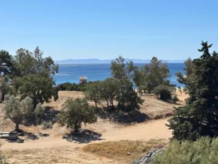 Özdere De Plaja 100 M Köşe Parsel Tek Tapulu 9.727M² Satılık Tarla