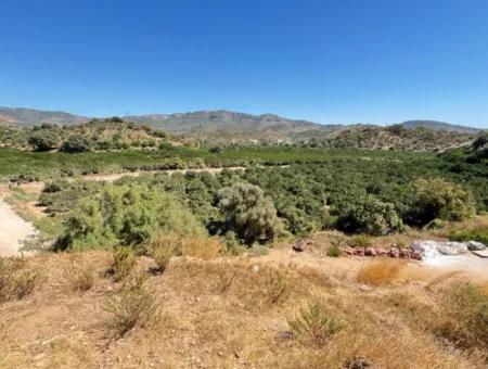 Özdere De Plaja 100 M Köşe Parsel Tek Tapulu 9.727M² Satılık Tarla